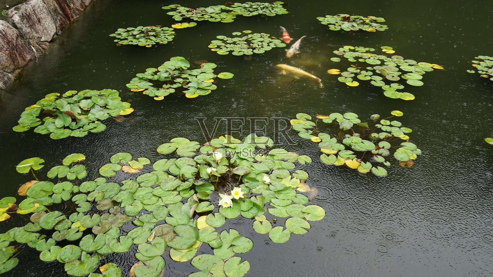 日本爱知县名古屋的夏季雨季照片摄影图片