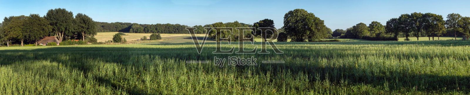 荷兰乡村风光。斯滕韦克的山丘照片摄影图片