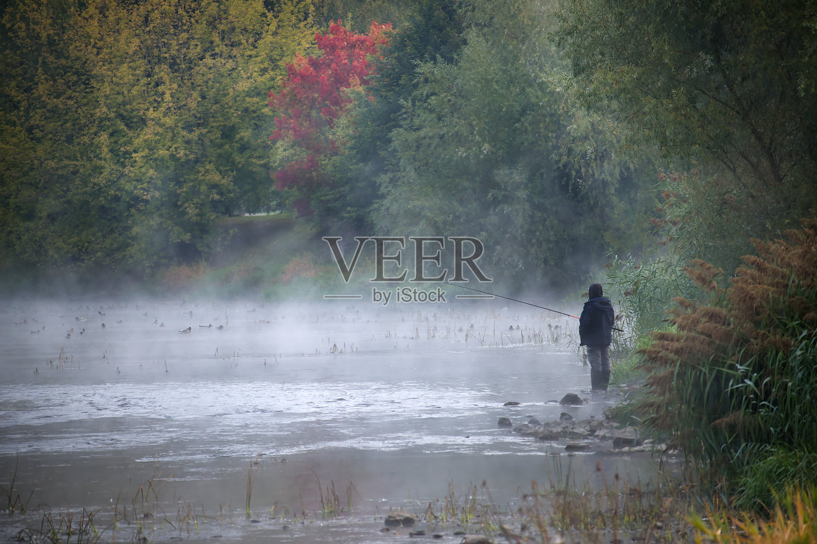 秋日树林环绕的静谧河水，一位垂钓者正在捕鱼的迷雾景象照片摄影图片