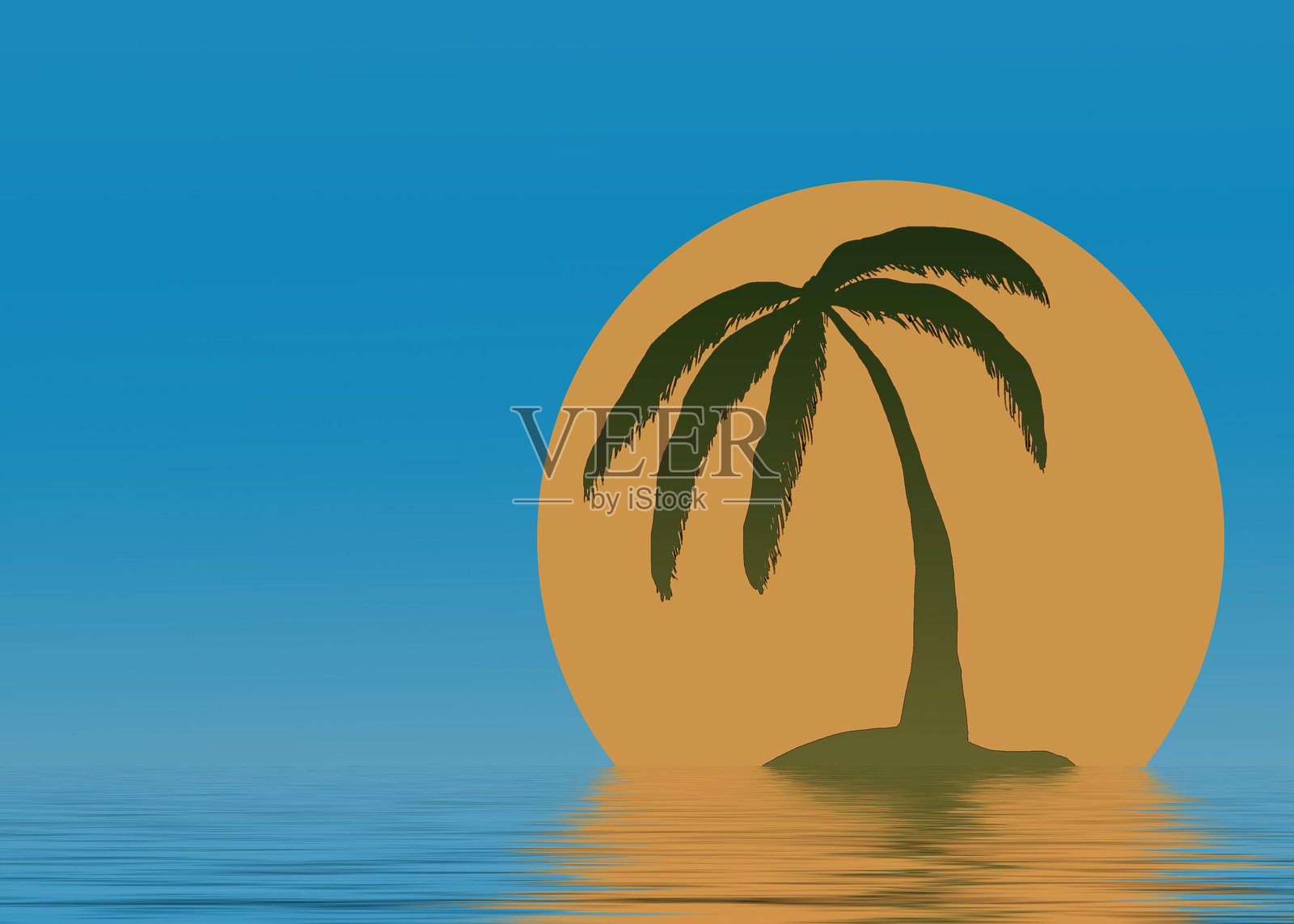 棕榈树照片摄影图片