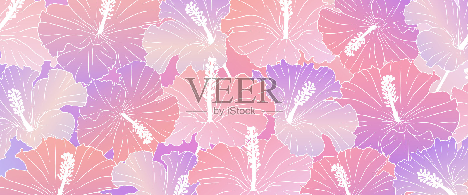 粉红色的扶桑花矢量背景图。花卉卡片、封面、壁纸。插画图片素材