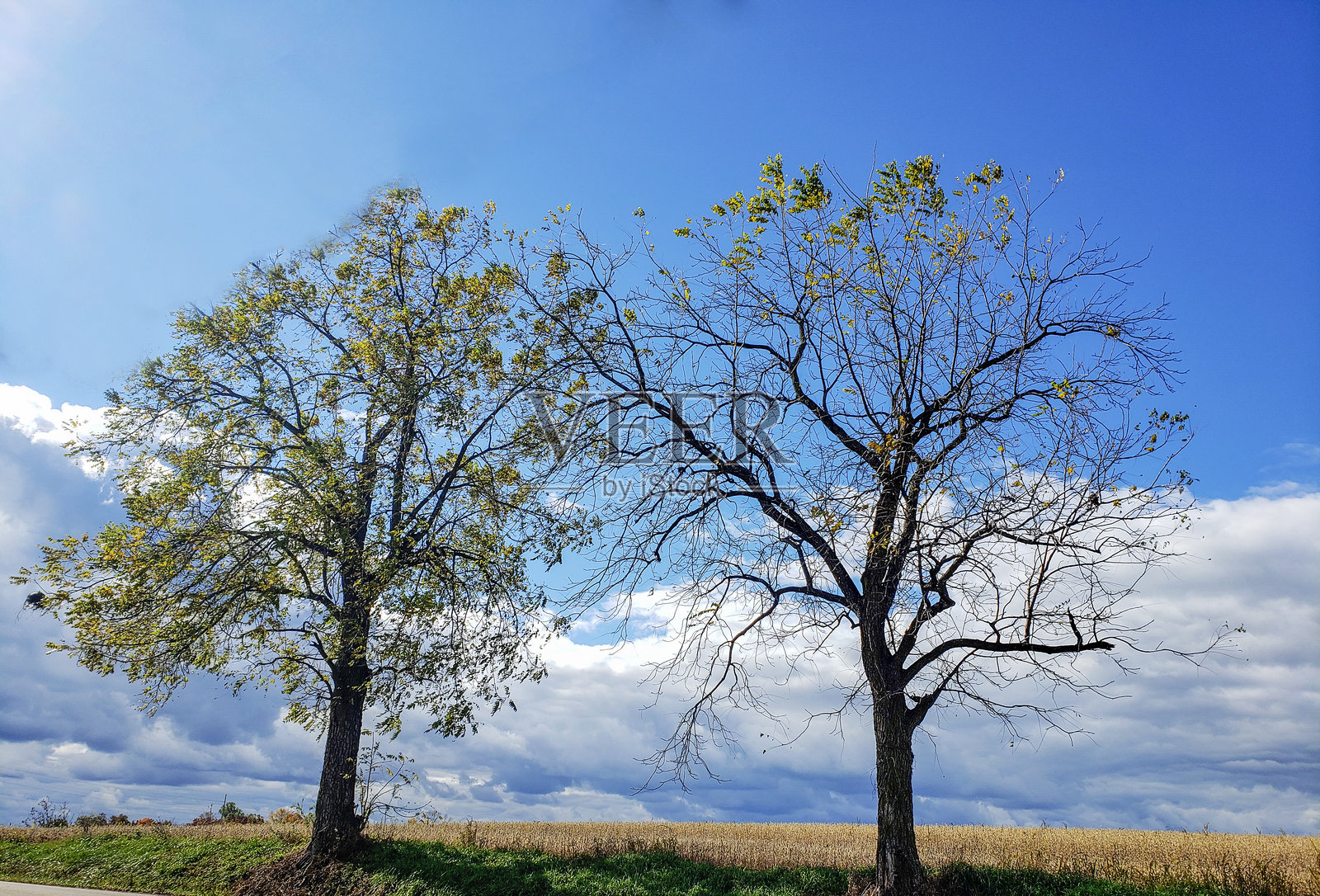 俄亥俄州霍姆斯县的秋日乡村风光照片摄影图片