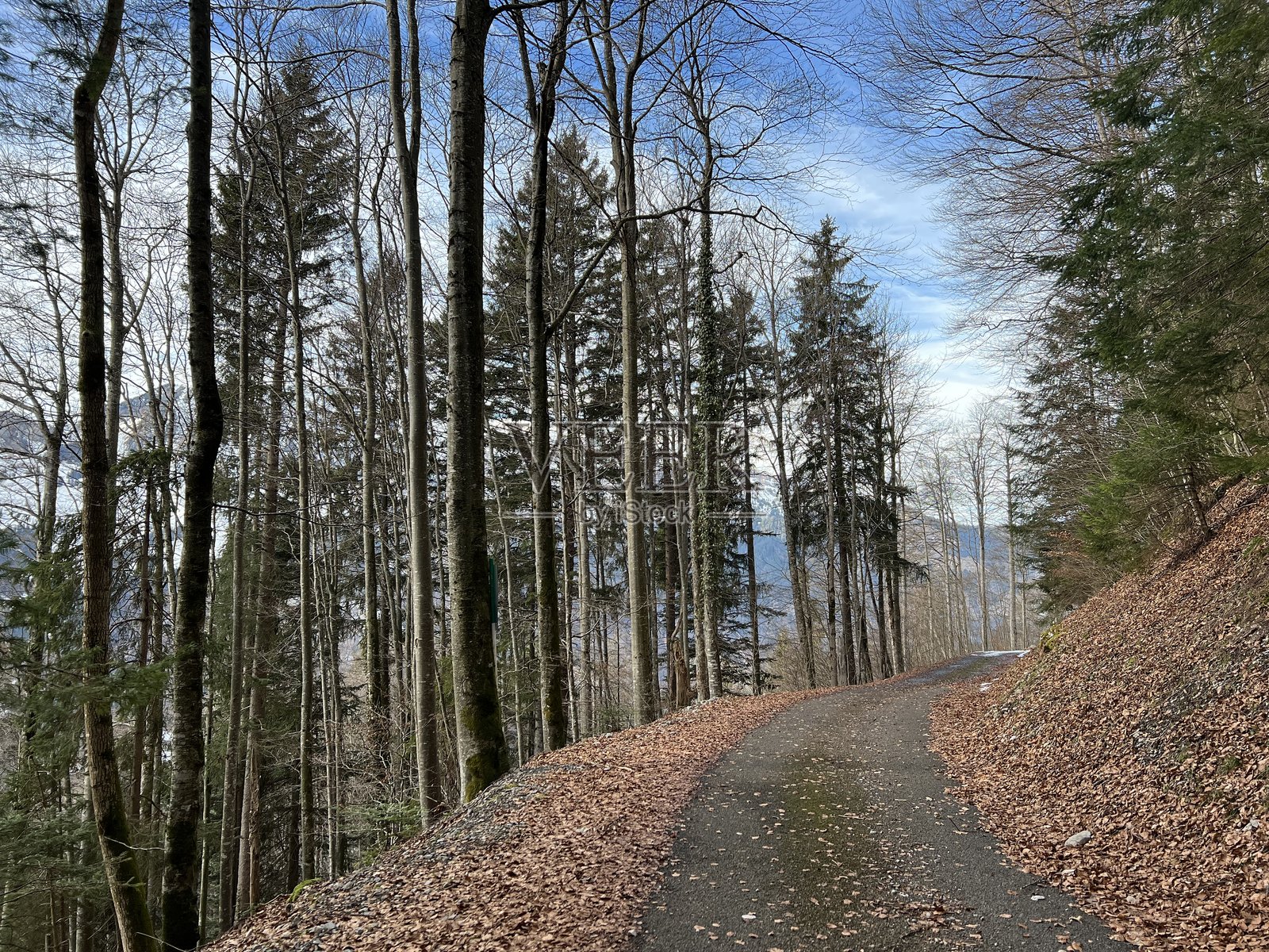 瑞士阿尔卑斯山，上瓦尔登州恩格尔贝格的冬季森林小径和旅游度假区（Kanton Obwald, Schweiz）照片摄影图片
