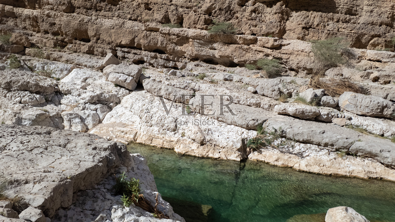 瓦迪·贝尼·哈立德是阿曼一个受欢迎的绿洲，拥有大型的、可游泳的翠绿色水池和峡谷景观。照片摄影图片