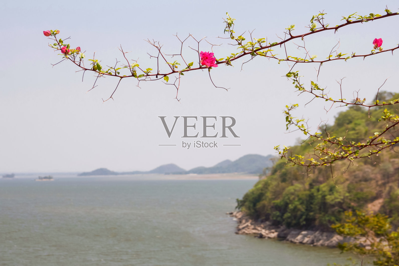 大型蓄水湖照片摄影图片