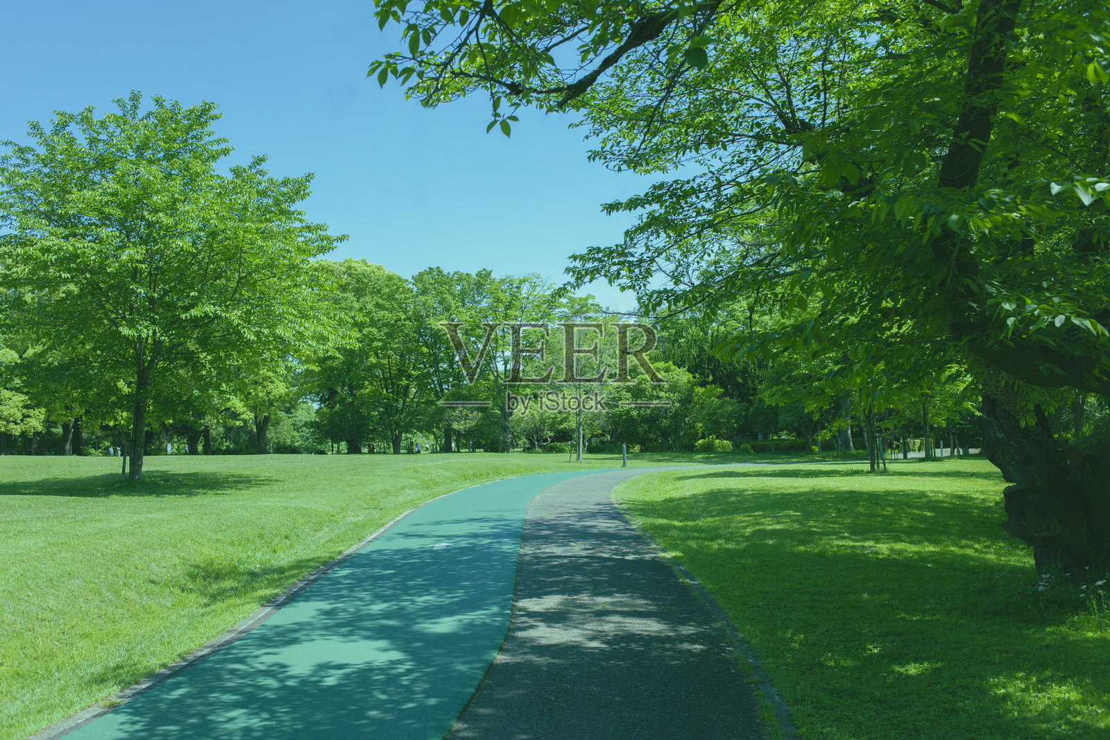 公园里的跑步赛道照片摄影图片