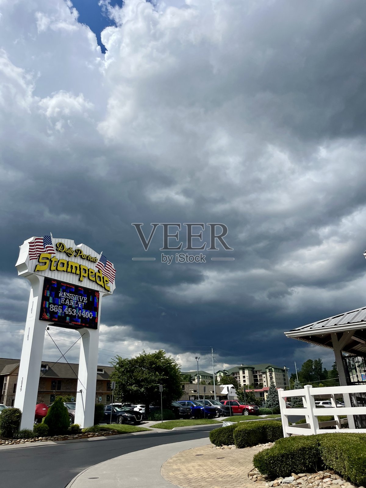 朵莉·帕顿的印章照片摄影图片