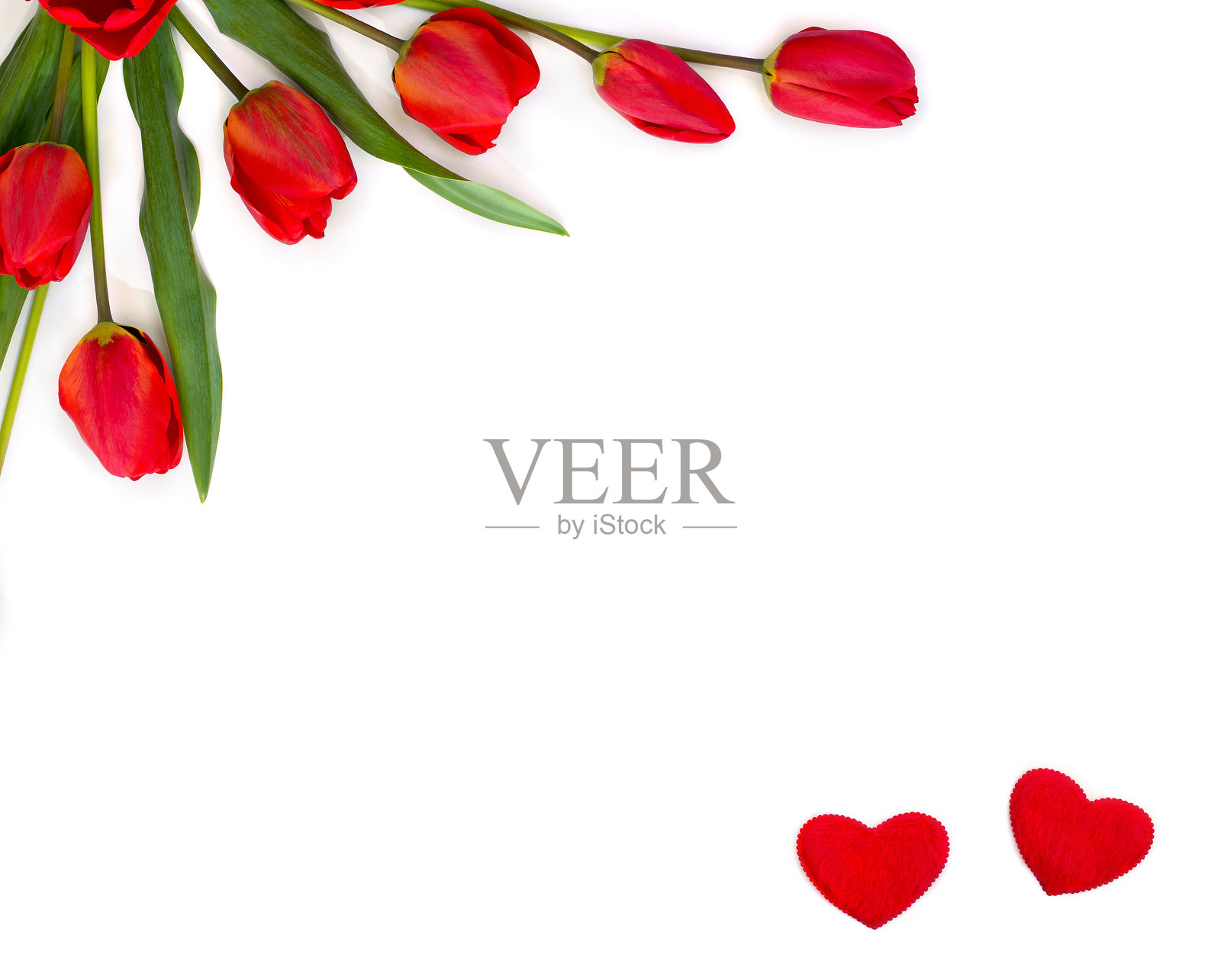 白色背景上的红色郁金香和两颗心，留有文字空间。俯视，平铺。情人节装饰。照片摄影图片
