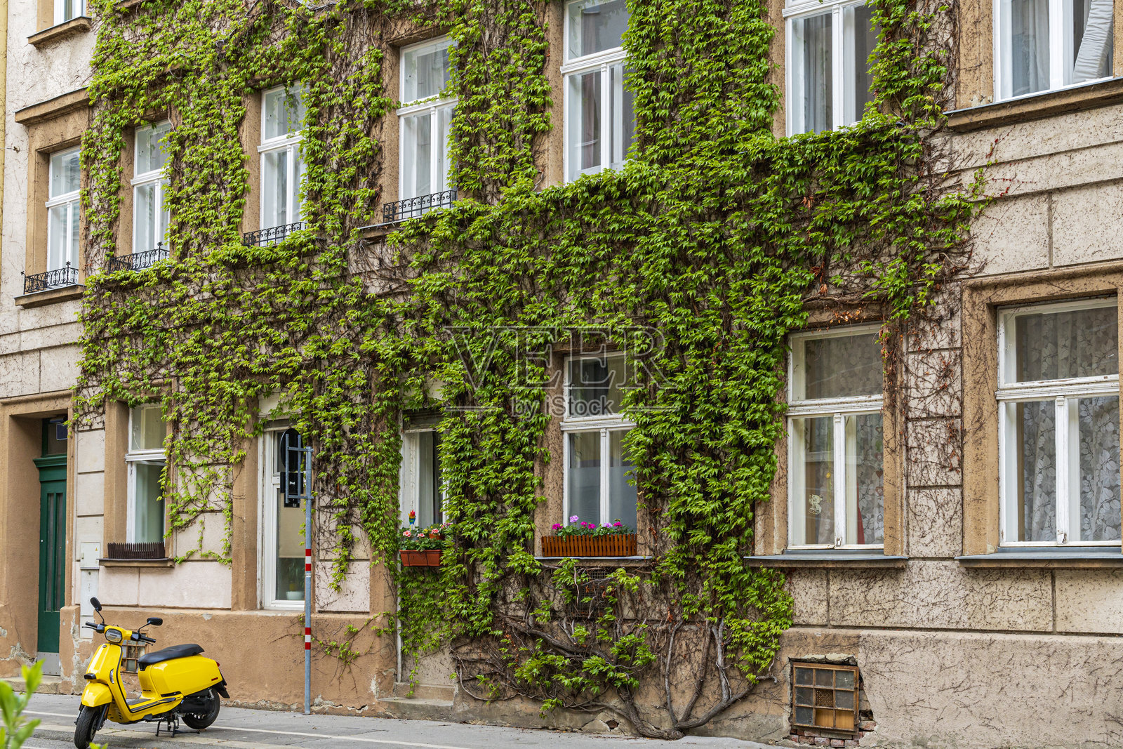 爬满常春藤的建筑和停在欧洲街道上的黄色踏板车照片摄影图片