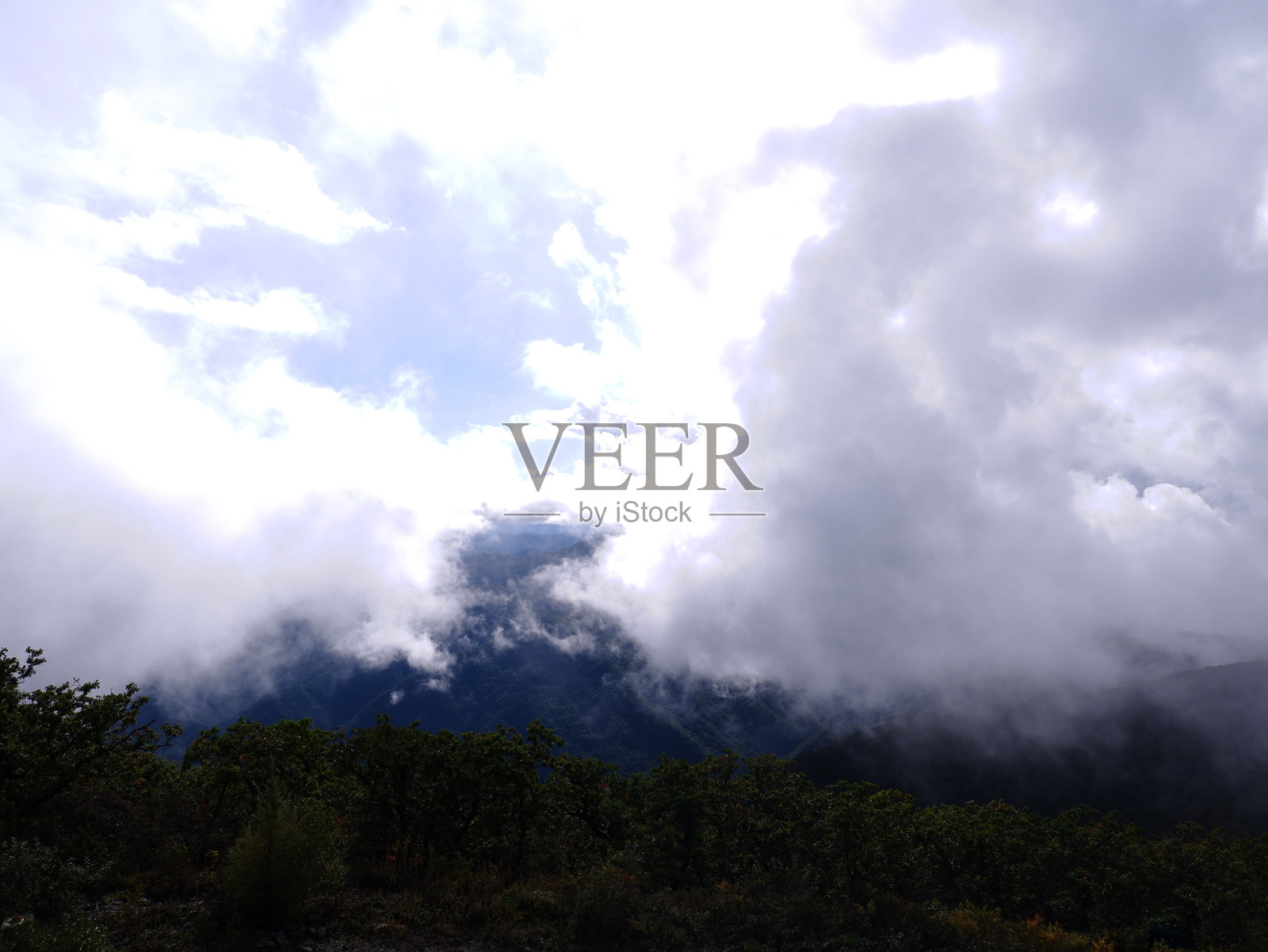 美丽的自然景象，笼罩在浓雾之中照片摄影图片