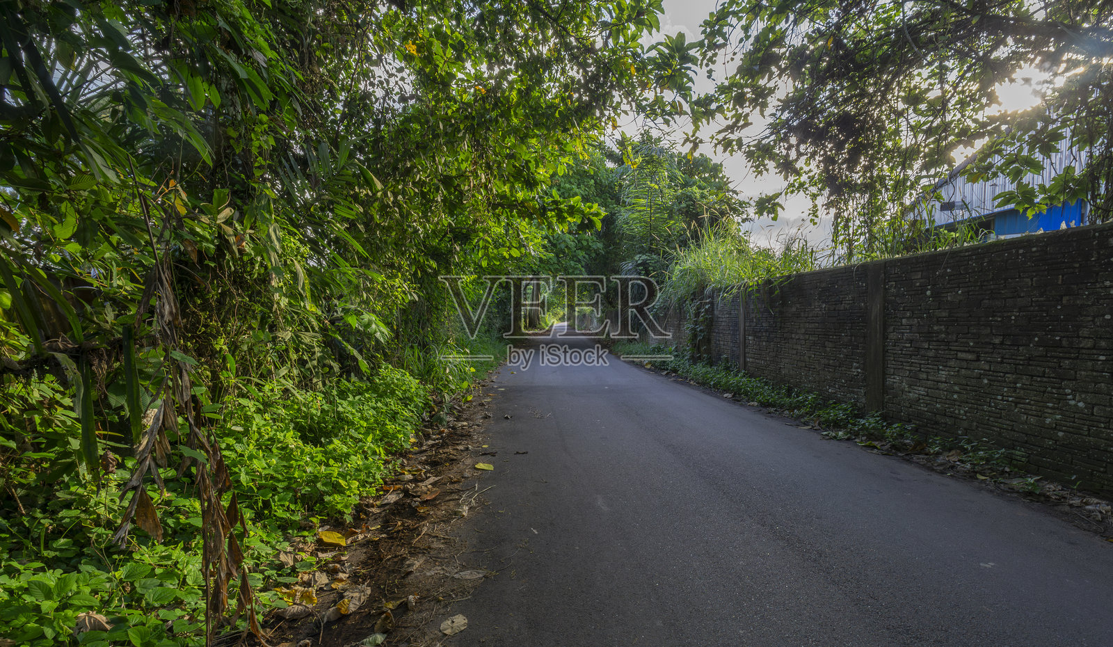 乡村道路照片摄影图片