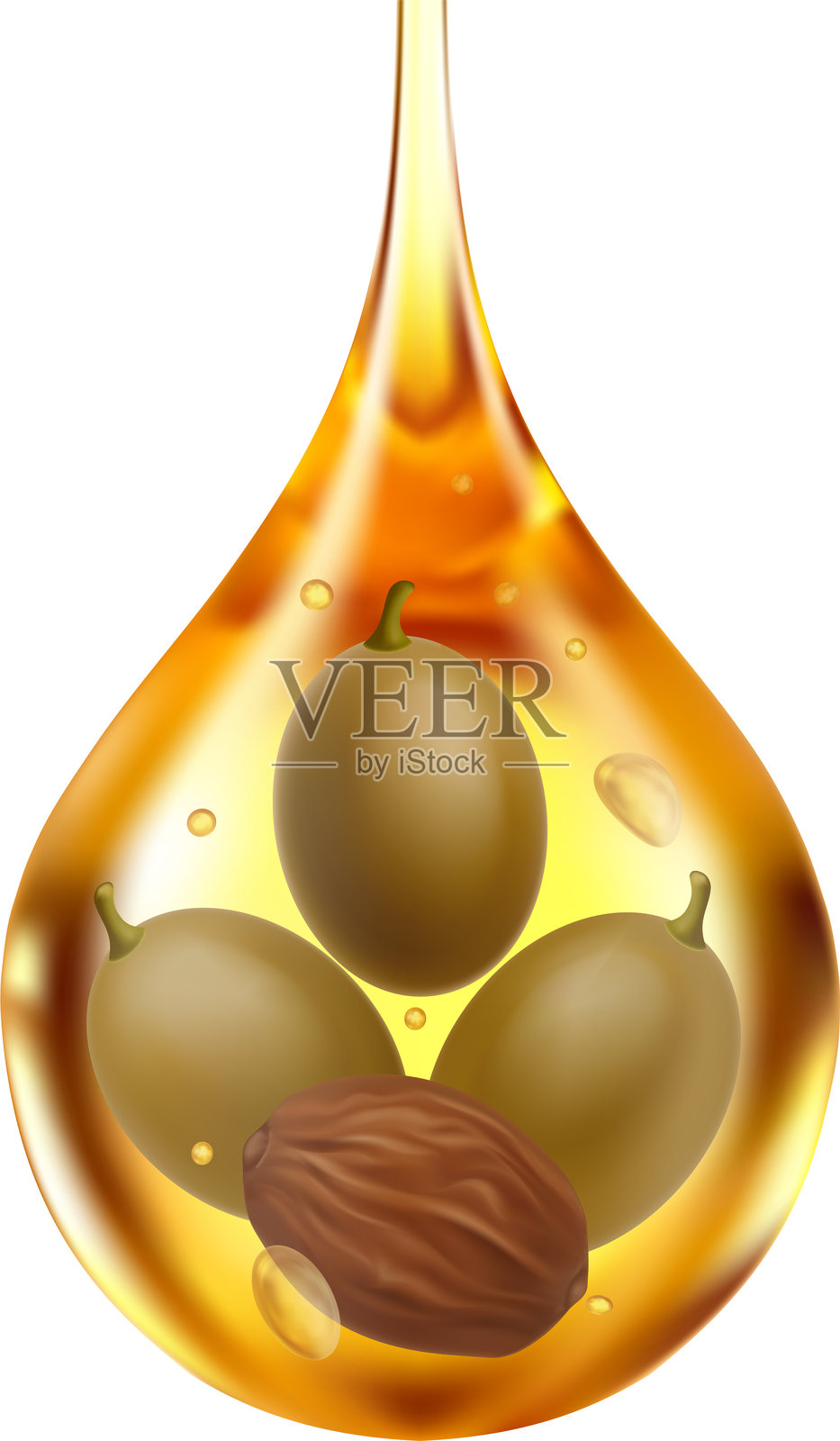 荷荷巴天然护肤化妆品 橄榄油有机天然护肤化妆品矢量插图插画图片素材