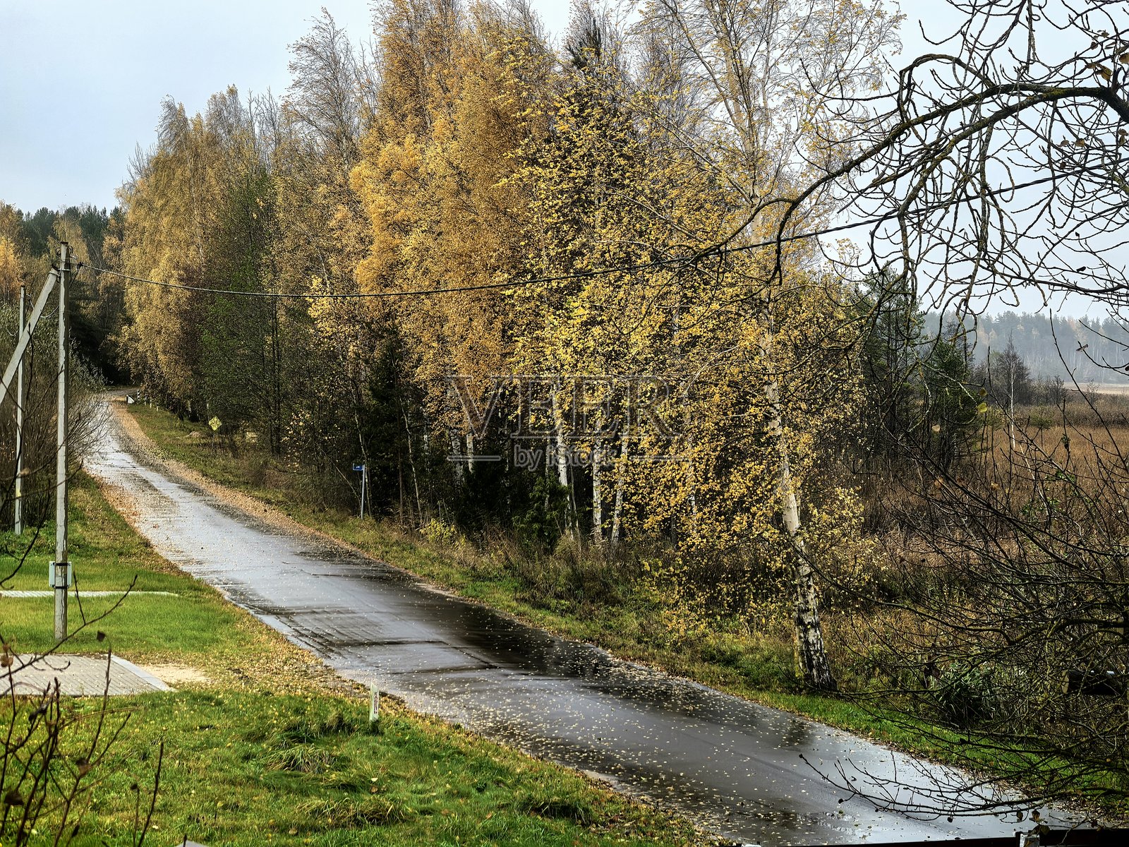 秋季景观，秋季自然风光，湖边，秋季森林，大自然之美，美丽的风景照，美丽的森林照，黄叶树木，远处的森林，自然之旅，旅行，旅程，周围世界之美照片摄影图片