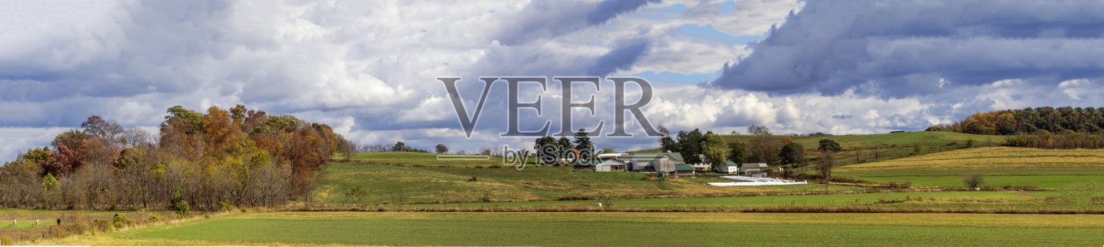 秋季俄亥俄州霍姆斯县的滚滚丘陵农田照片摄影图片