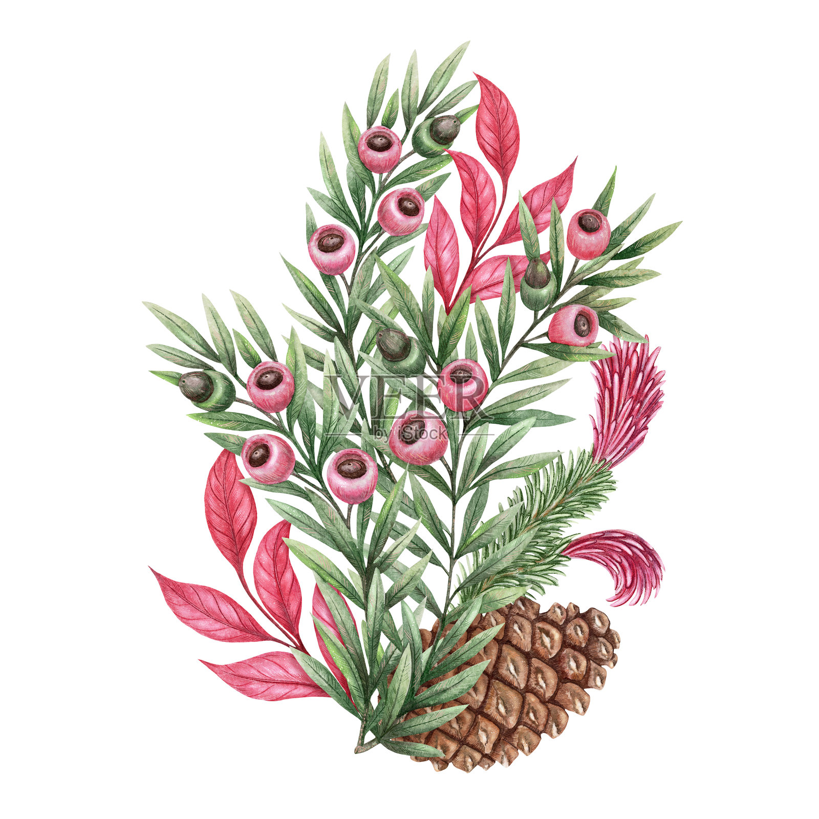 水彩风格的榙叶和松果花束，手绘，带有闪光和铅笔纹理。节日主题构图，粉色和绿色色调。非常适合圣诞贺卡和植物设计。插画图片素材