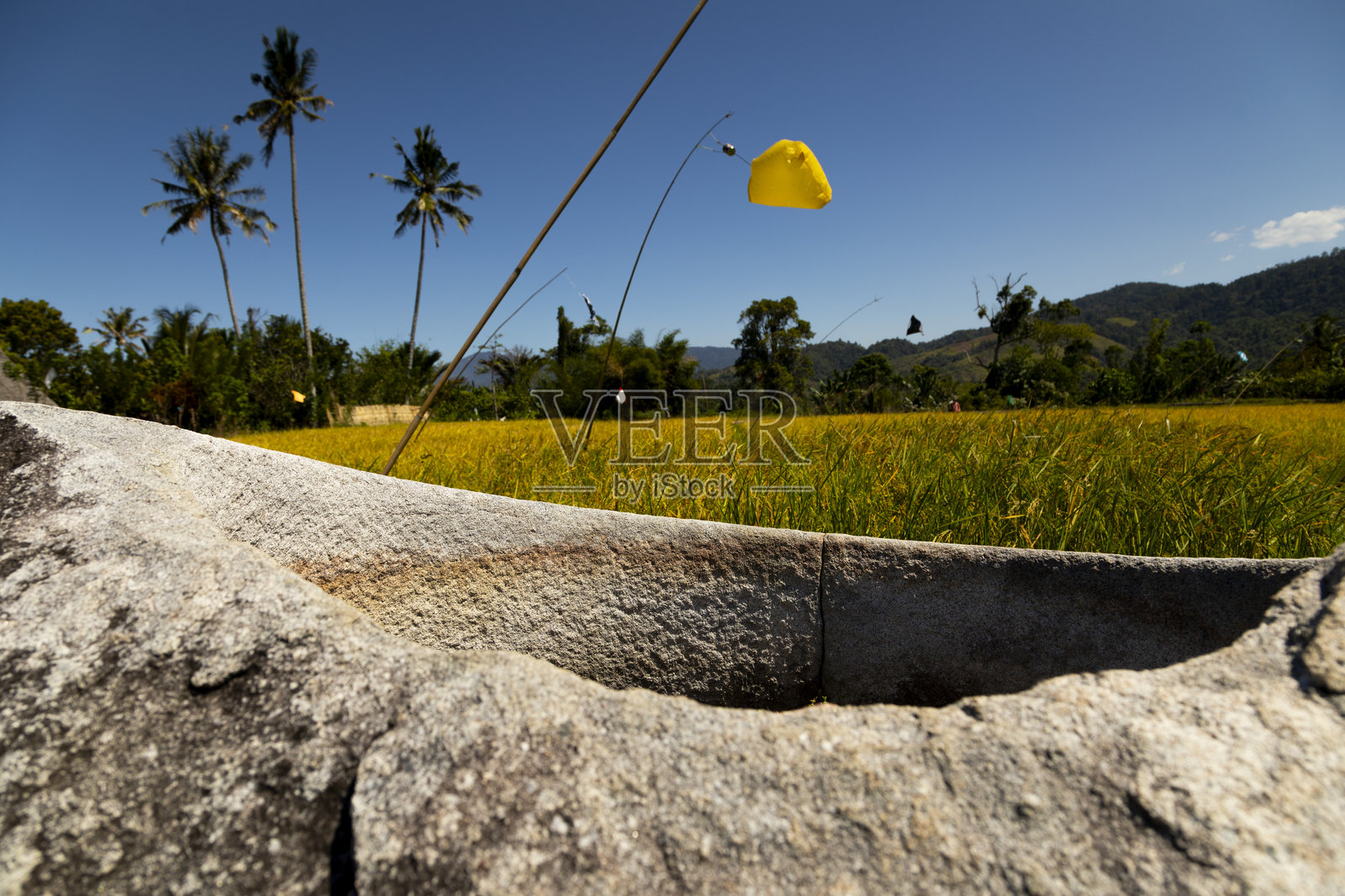 印度尼西亚中苏拉威西省巴达山谷中发现的神秘史前巨石文化遗迹照片摄影图片