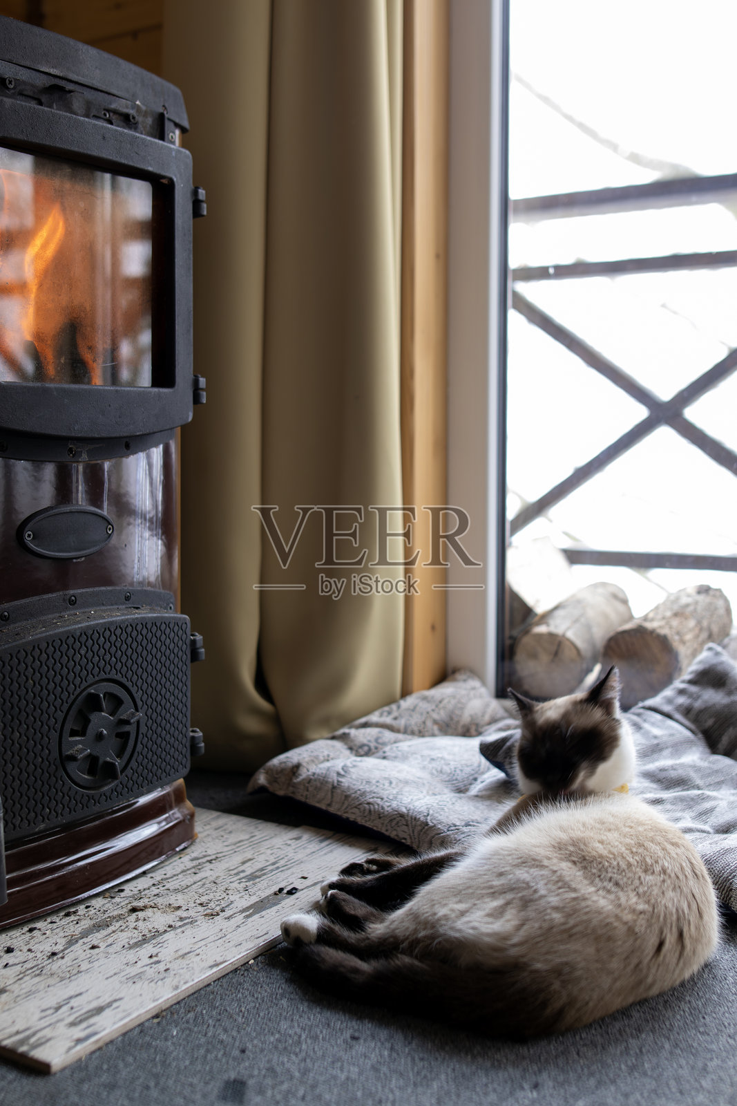 冬日温馨的场景，一只暹罗猫在燃烧的壁炉旁的垫子上休息，窗外是雪白的冬日森林和木柴。体现了家的舒适、惬意和寒冷季节里的温暖。照片摄影图片