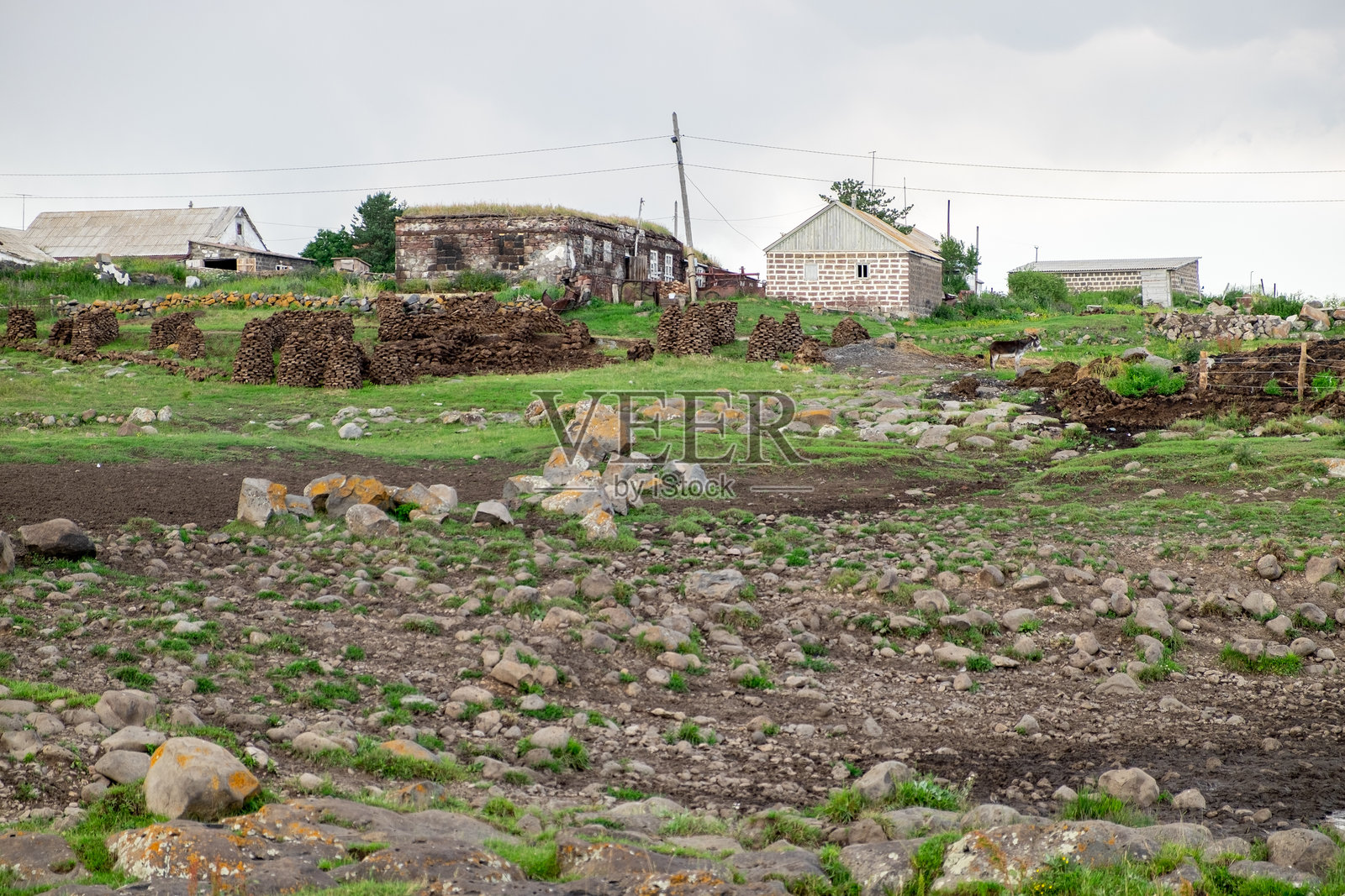 格鲁吉亚，贾瓦赫蒂。2020年7月18日。田野里晾晒着牛粪的乡村景观照片摄影图片