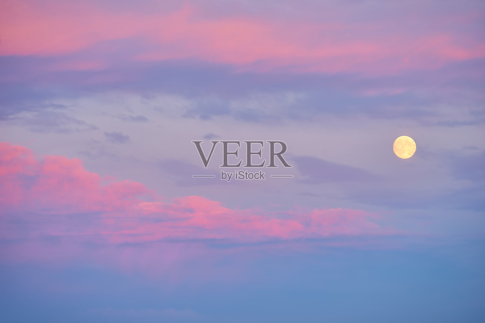 春季傍晚，一轮满月在蔚蓝的天空中升起。照片摄影图片