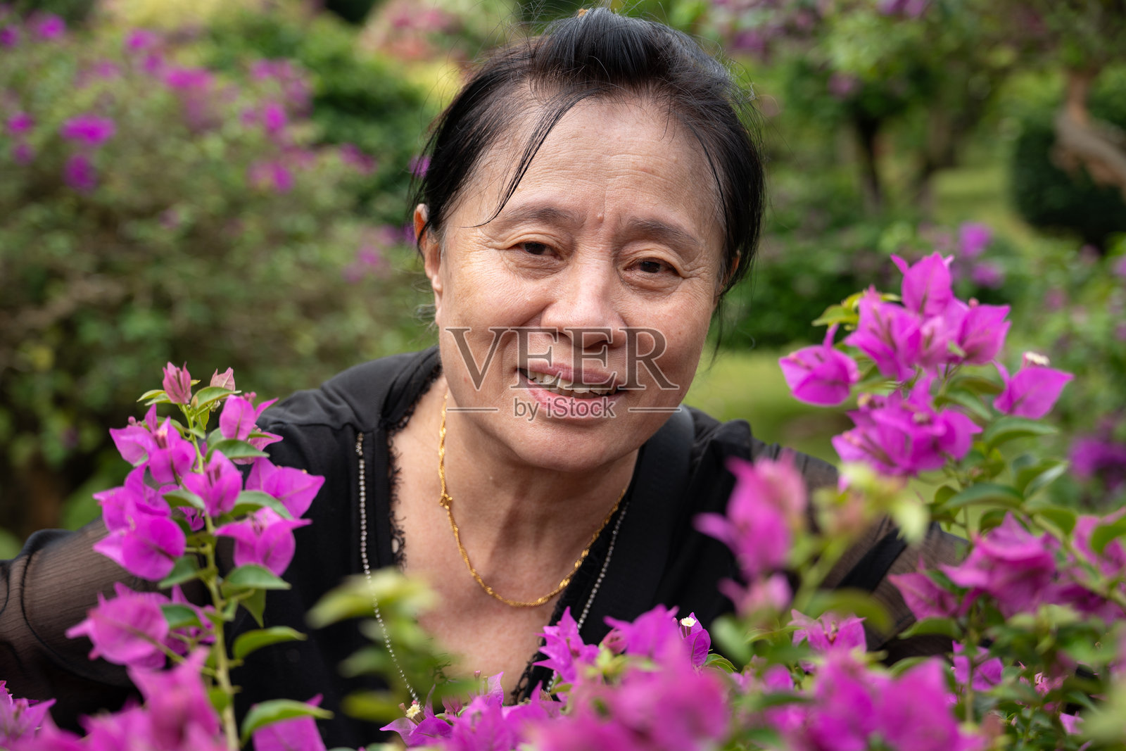花园里，一位年长的亚洲女性在盛开的花丛中，面带微笑，肖像照照片摄影图片