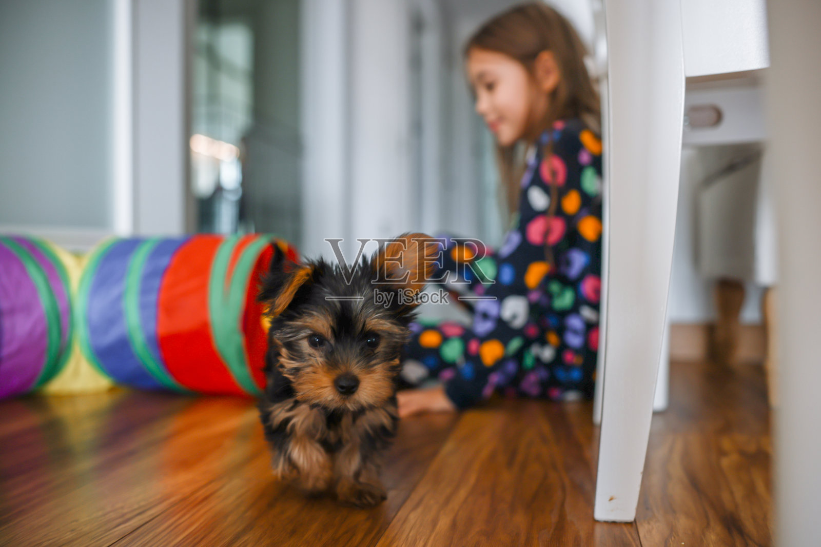 小女孩在地板上和狗狗玩耍照片摄影图片