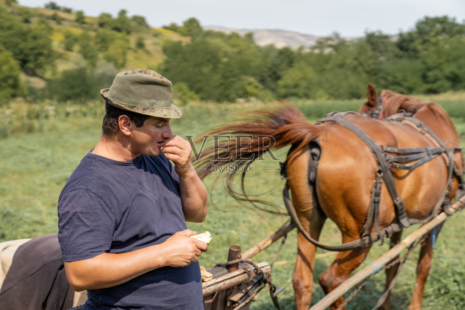 农民在田间休息，与马和传统农具车一同用餐照片摄影图片