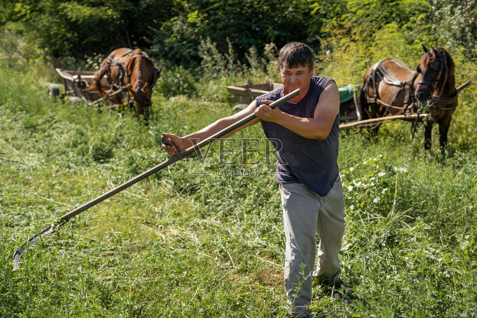 一位男子正挥舞镰刀收割牧草，展示了乡村背景下的体力劳动和可持续农业照片摄影图片