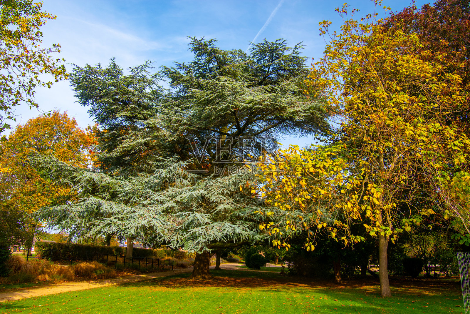 秋日里，在特伦特河畔的纪念花园中漫步，欣赏层林尽染的秋色。照片摄影图片