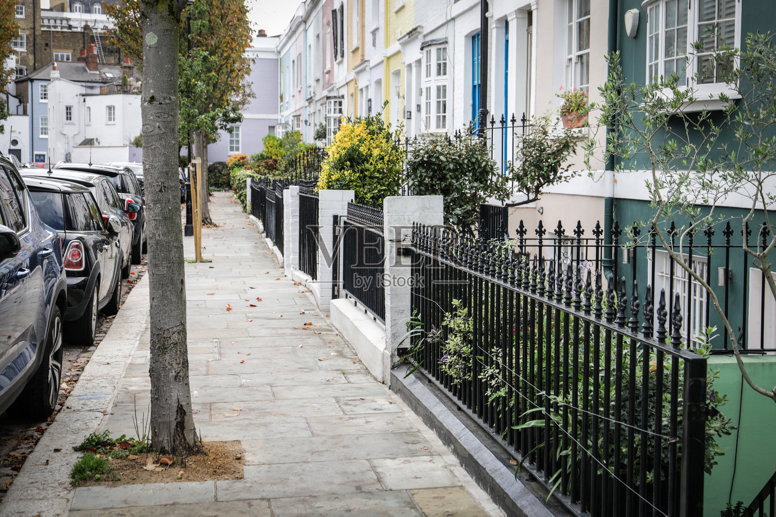 色彩缤纷的房屋、黑色铁艺围栏、树木和停放的汽车构成的宁静城市街道。优雅的城市住宅建筑。照片摄影图片