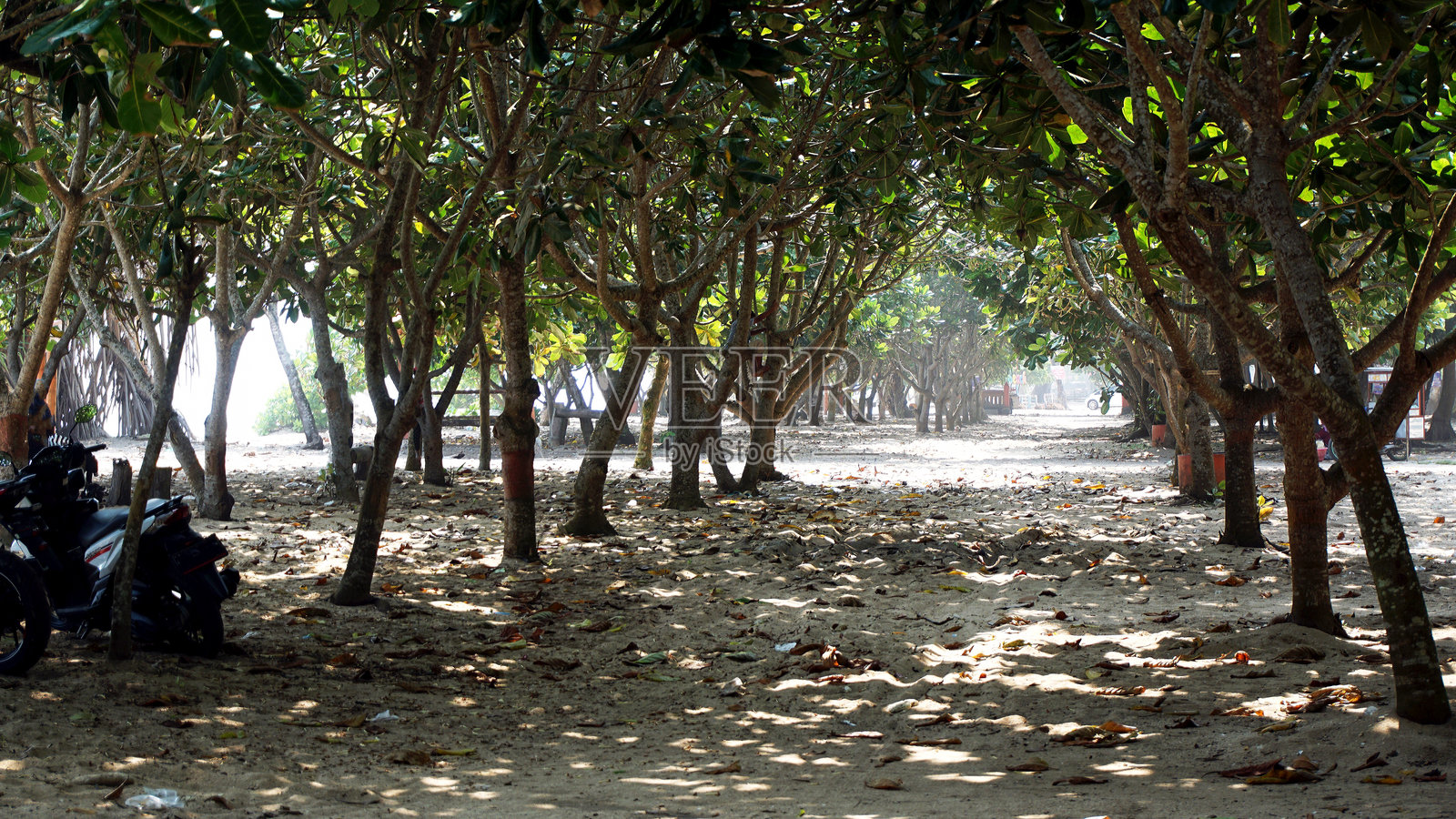 巴莱甘榜海滩全景照片摄影图片