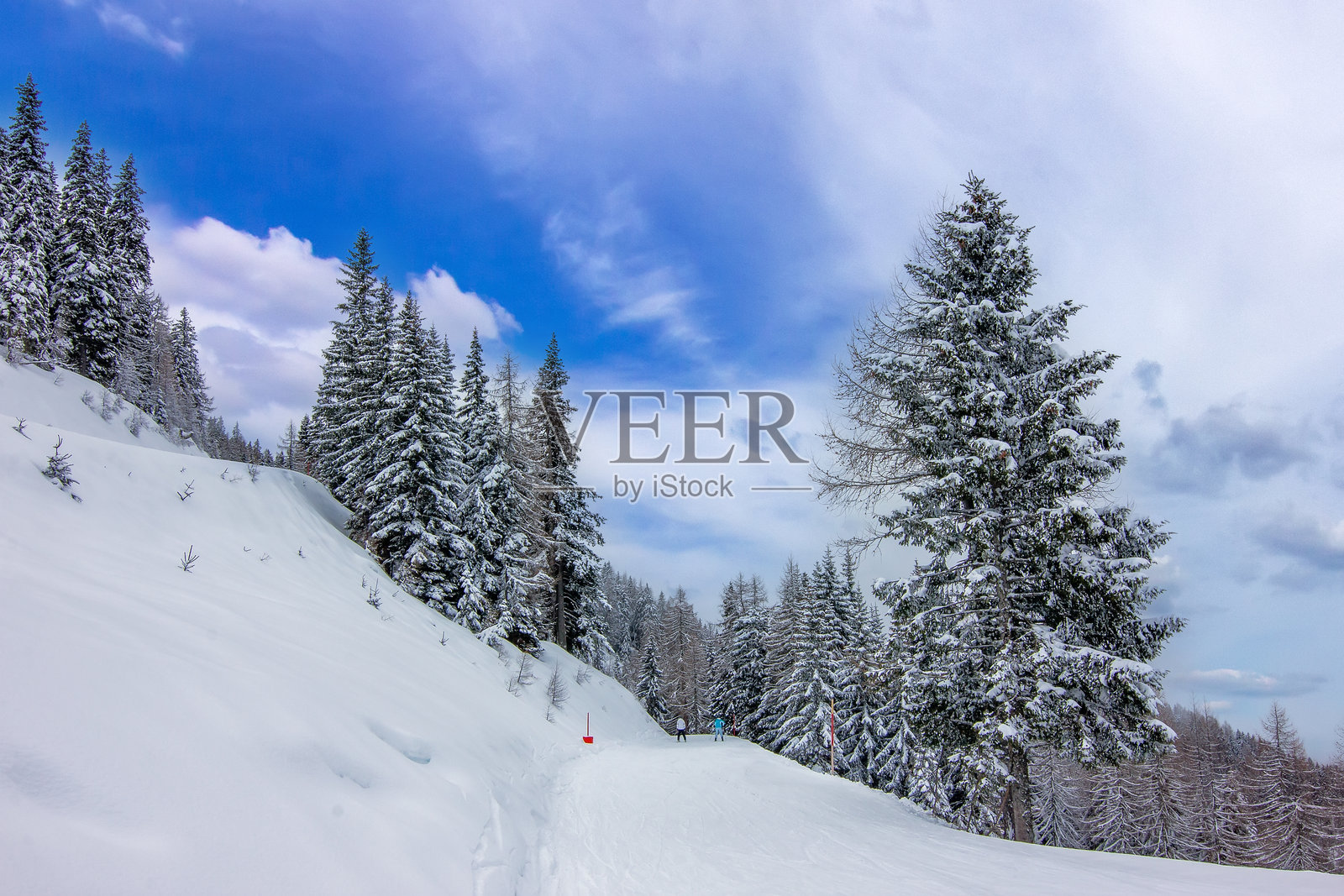 滑雪者在陡峭的雪林斜坡上滑下照片摄影图片