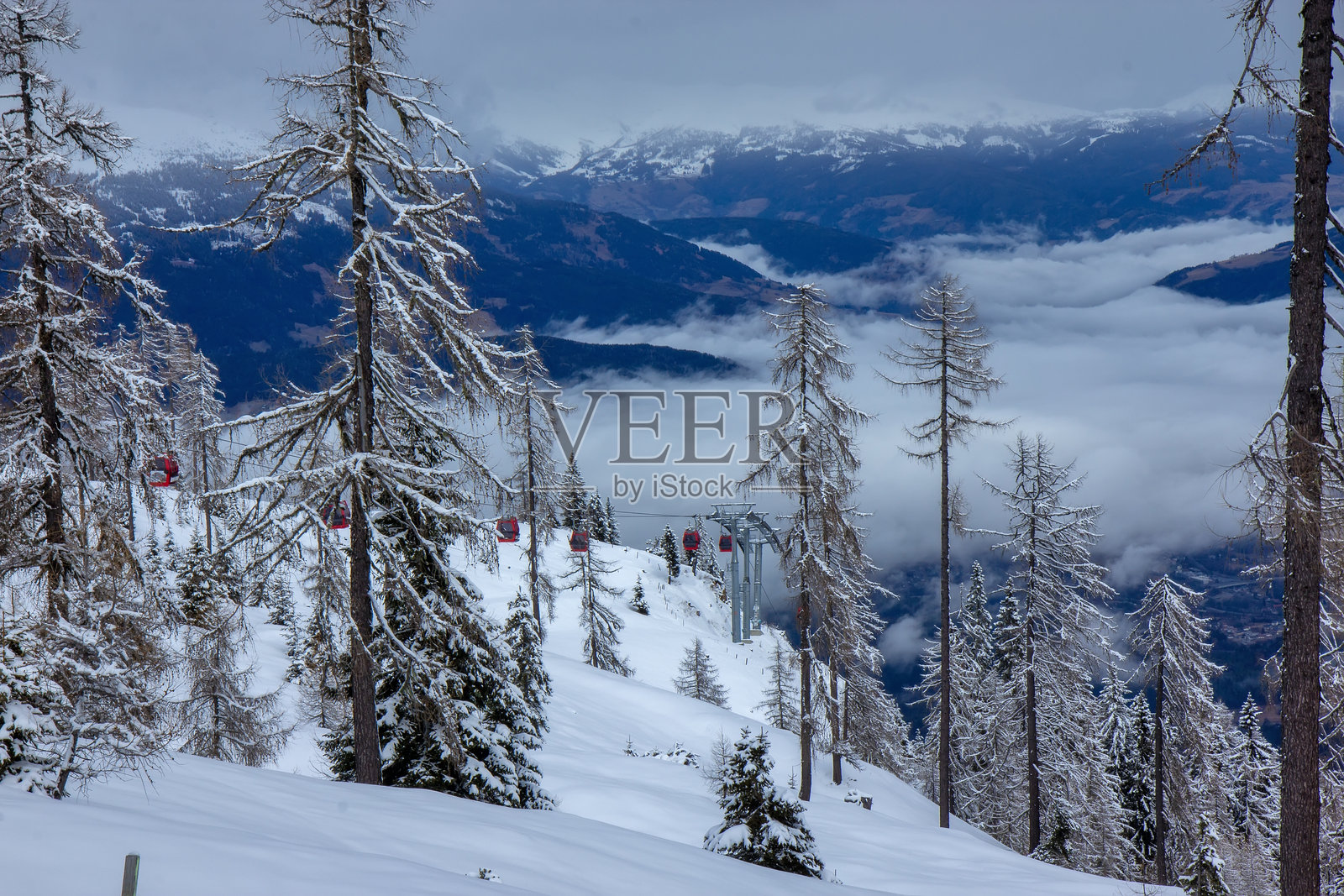 雪覆盖的松树林在阴云密布的天空下照片摄影图片