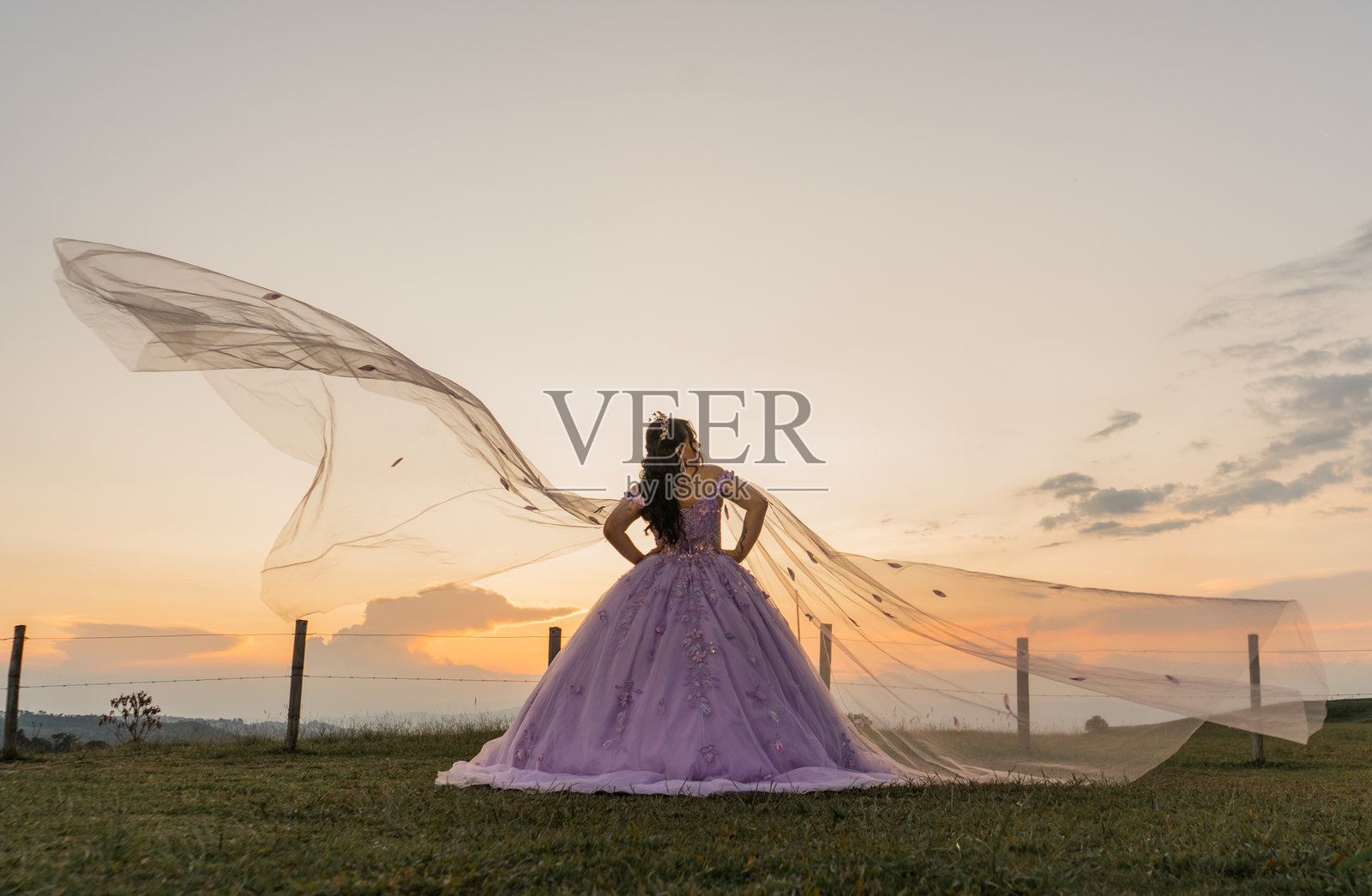 日落时分，身穿丁香色舞会礼服的年轻女子在自然景观中掀开面纱照片摄影图片