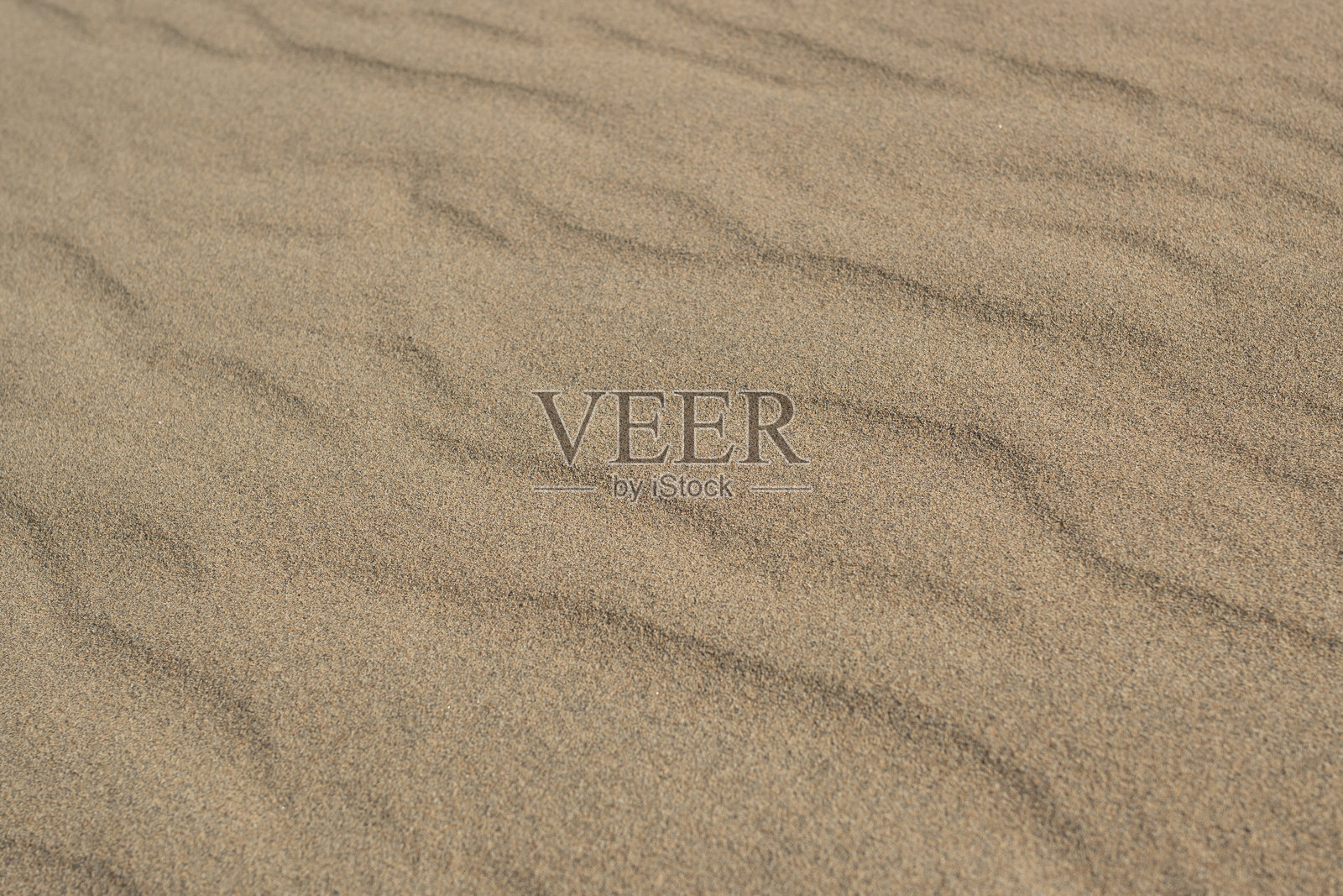 日本鸟取县鸟取沙丘照片摄影图片