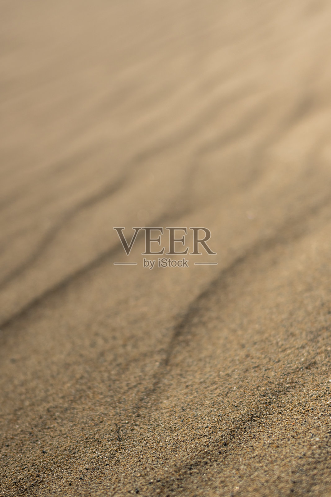 日本鸟取县鸟取沙丘照片摄影图片