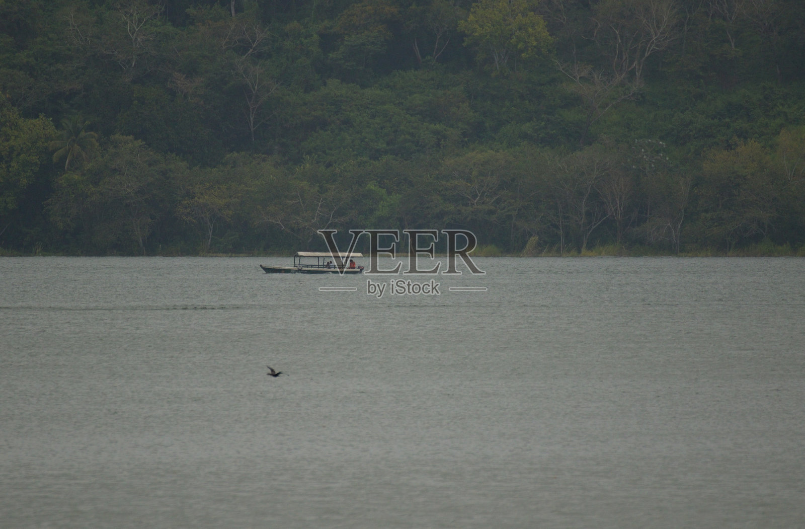 危地马拉佩滕湖的宁静风景照片摄影图片