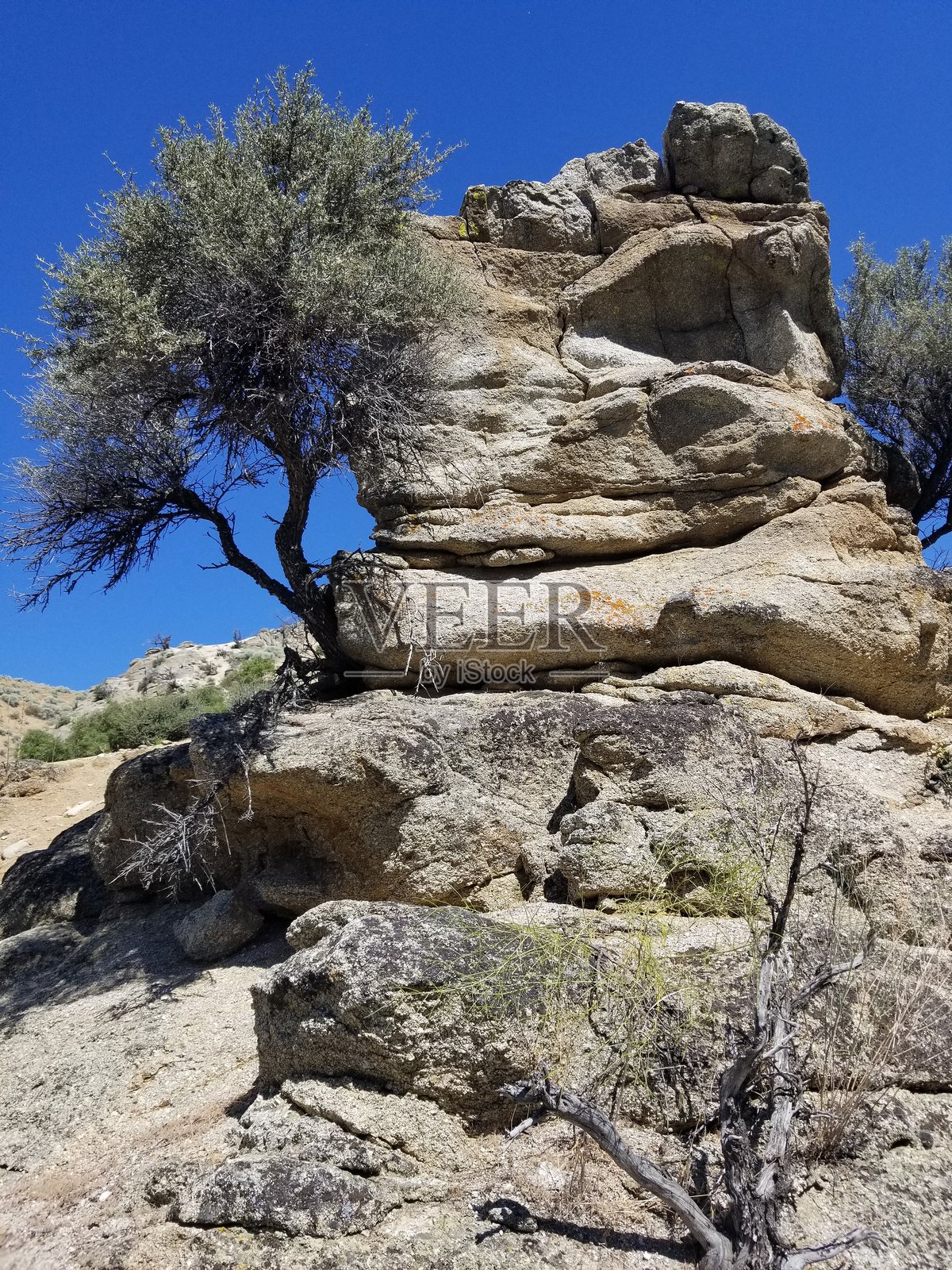 有树木的出露地照片摄影图片
