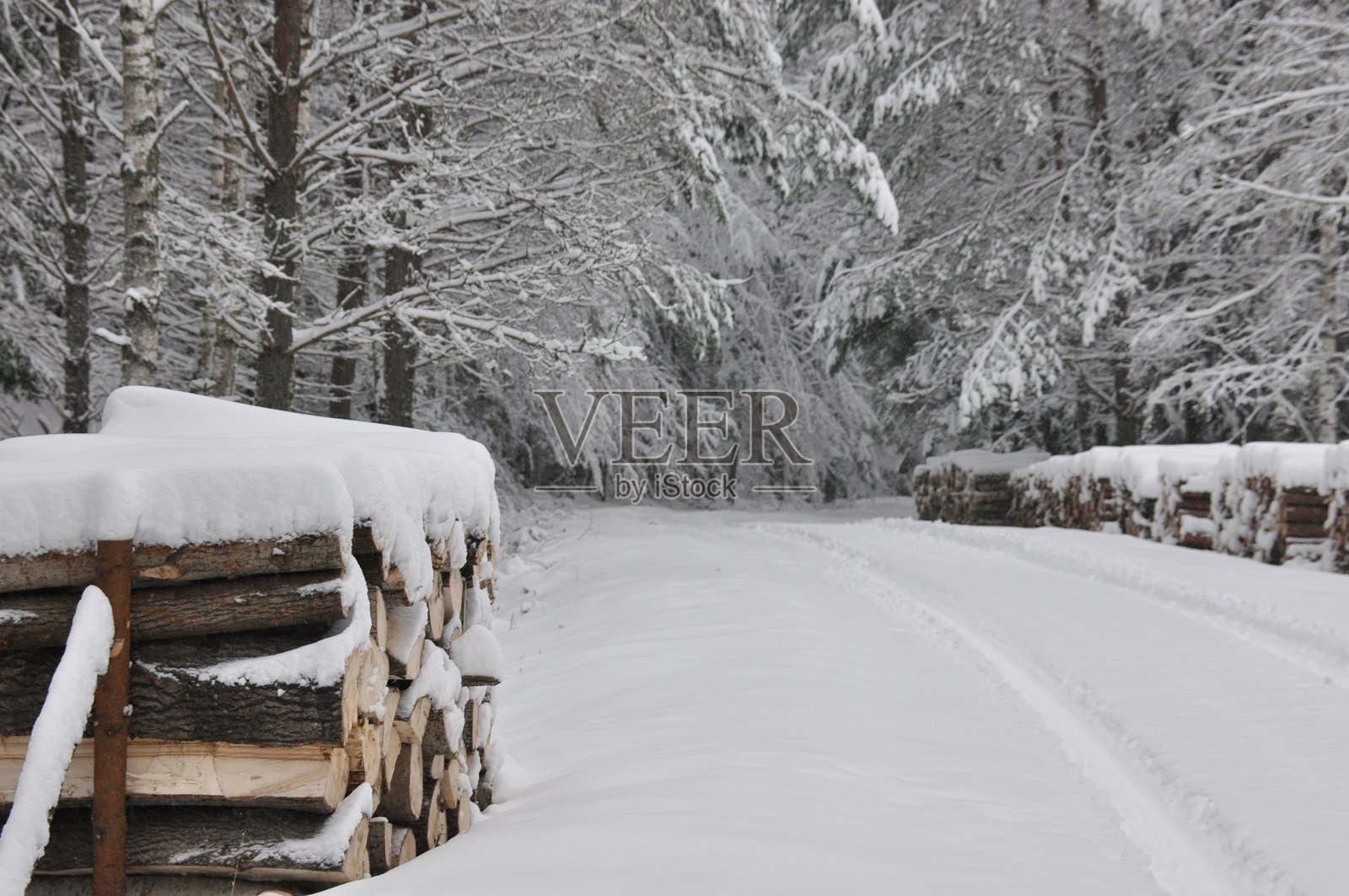 雪后的冬日森林小径旁堆放着木柴，四周是覆盖着白雪的树木。照片摄影图片