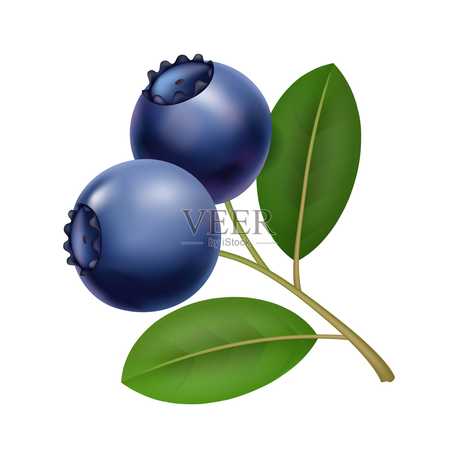 蓝莓枝条，叶片油亮，采摘者采下细茎上饱满的蓝莓，带有露珠，果皮有质感，色调为鲜艳的深蓝色，充满乡村集市的氛围，健康。插画图片素材