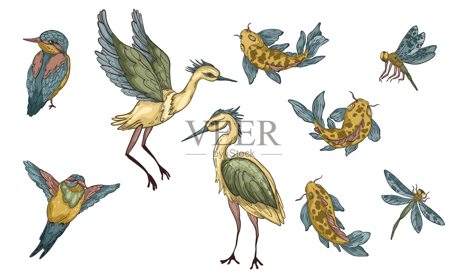 亚洲动物集合，包括苍鹭、翠鸟、锦鲤和蜻蜓插画图片素材