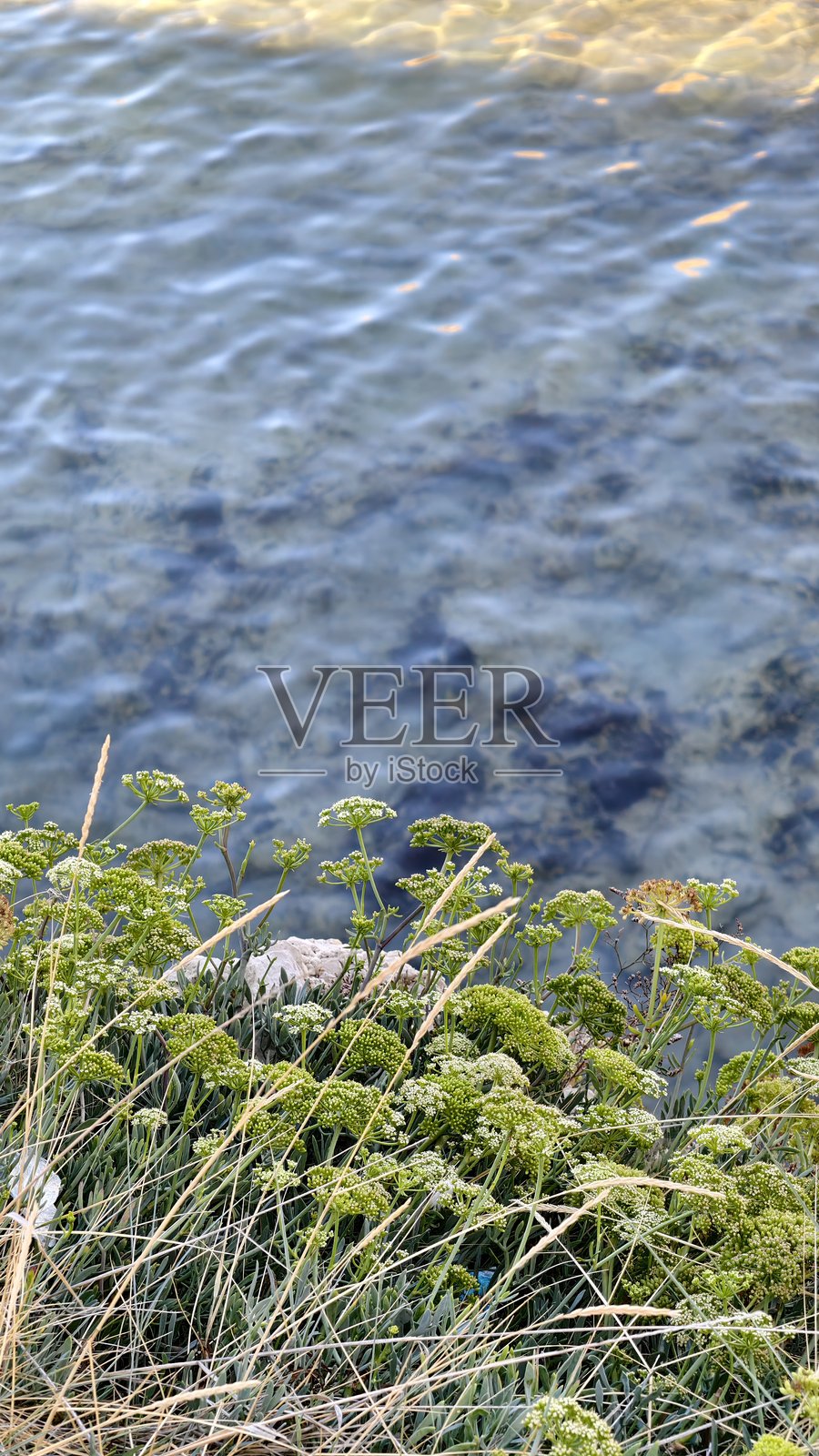 波利尼亚诺阿马雷——石头与海的交汇之处照片摄影图片