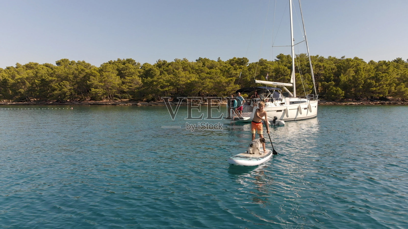 男孩和狗在桨板上的航拍图照片摄影图片