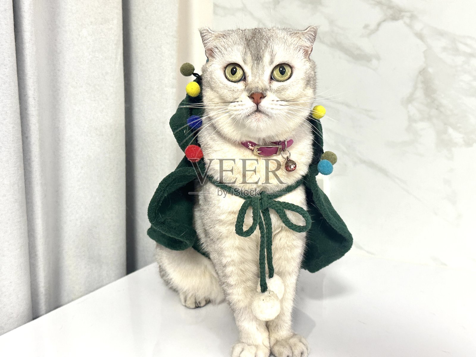 一只可爱的猫咪穿着节日绿色服装，配有彩色绒球，坐在一块白色表面上，背景为浅灰色。照片摄影图片