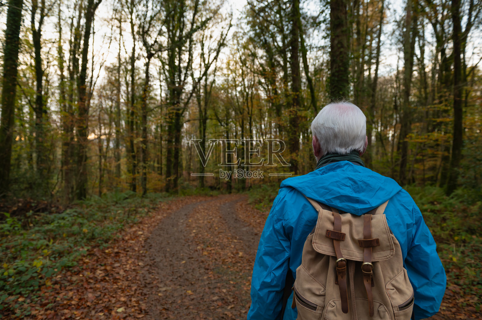 一位退休老人走在林地间的土路上照片摄影图片