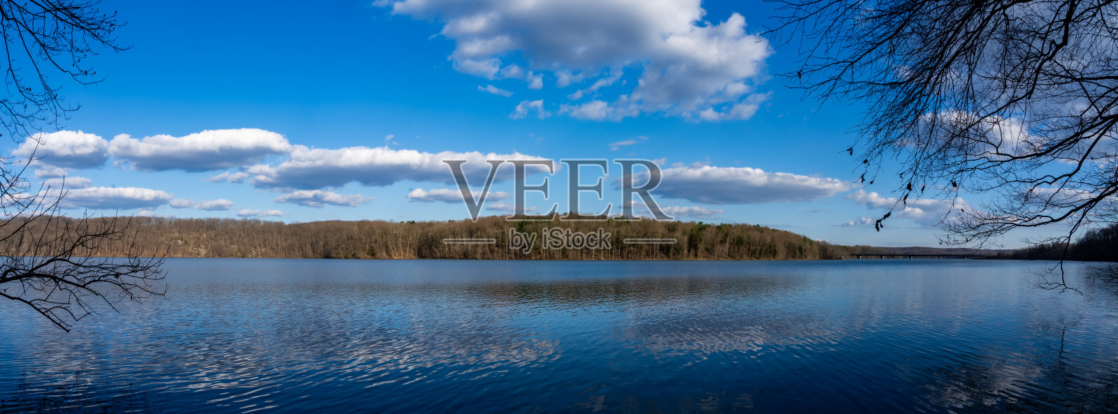 湖泊、树木和云彩的全景图。照片摄影图片