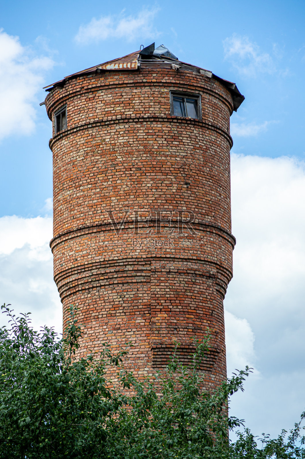 古老的橡树历经数百年，巍然屹立，如同昔日科丘贝家族庄园周围那片古老橡树林的生命见证。照片摄影图片