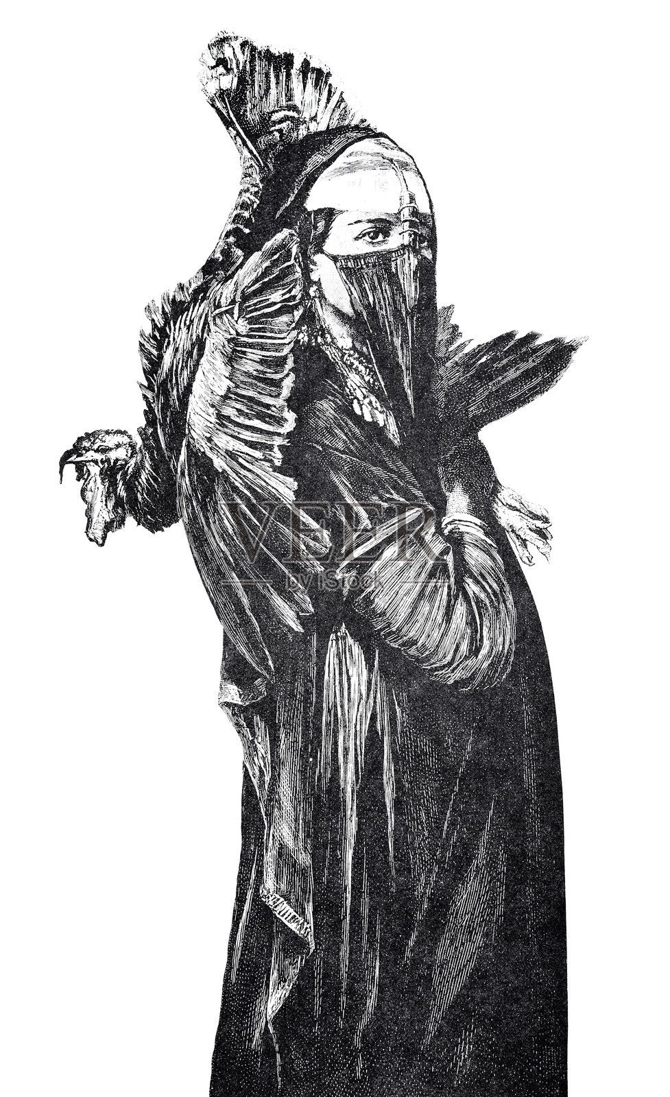 阿尔及利亚的Ouled Naïl女子——她骄傲的目光透过层层华丽的面纱闪耀插画图片素材