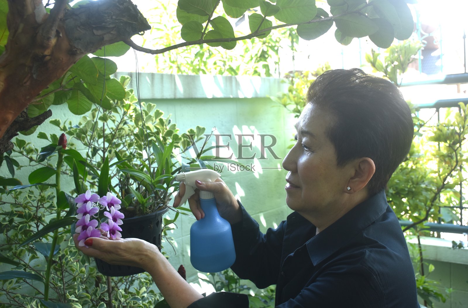 一位年长的女性在自家前院享受着给花浇水和园艺的时光照片摄影图片