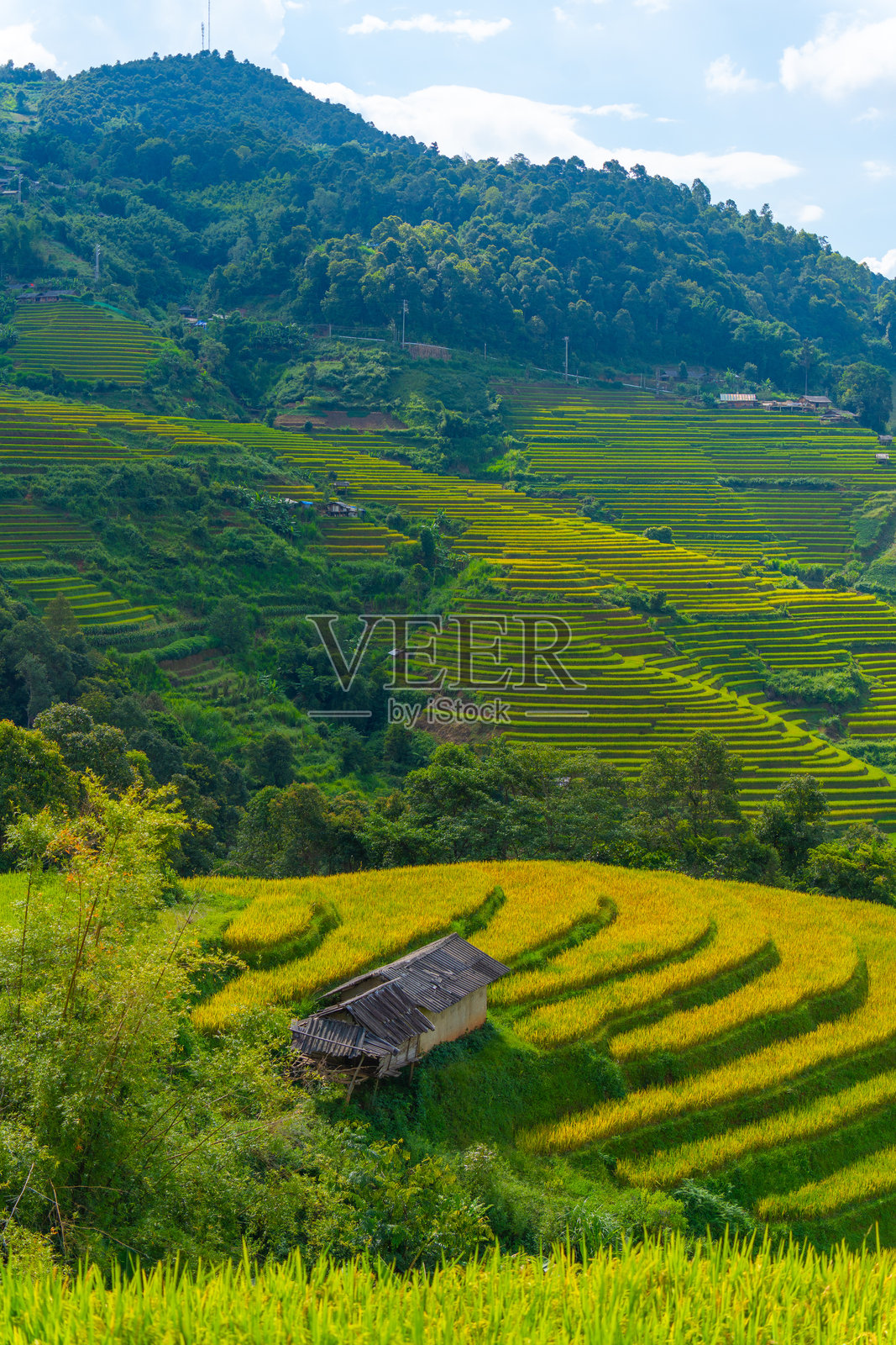 越南北部木江界镇山上房屋和梯田的鸟瞰图。照片摄影图片