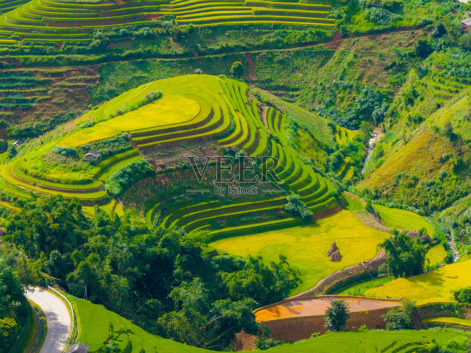 越南北部萨帕市附近的木江界镇金色梯田的航拍。 位于安沛省，丰收季节美丽的梯田。照片摄影图片